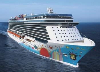 Norwegian Cruise Line Flags ‘Going Concern’ Over Ability to Stay Afloat
