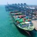 Container Charter Market Goes ‘Boom to Bust’ in Just Four Months containership