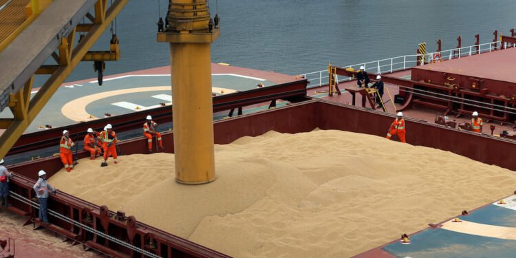 Employees working at cargo ship Kypros Land which is loading soybeans to China at Tiplam terminal in Santos