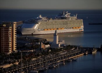 Royal Caribbean Borrows $2.2 Billion to Shore Up Liquidity