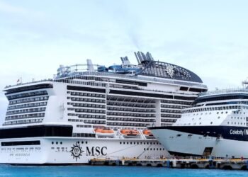 Mexico Lets Cruise Ship Dock as Crew Member Found to Have Flu, Not Coronavirus