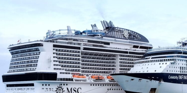Mexico Lets Cruise Ship Dock as Crew Member Found to Have Flu, Not Coronavirus