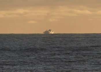 Grand Princess Passengers Face Coronavirus Quarantine