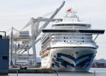 Cruise Industry Proposes to White House Banning Passengers Over 70 Without Doctor’s Note – Report