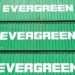 HMD to construct 4 1,800 TEU Con-Green box ships for Evergreen image description