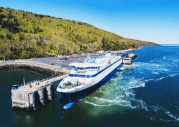 Cargo Vessel Captain Fined After Almost Colliding With A Passenger Ship