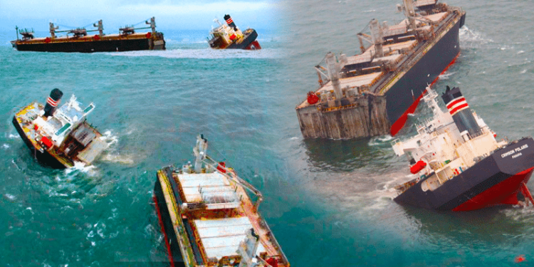 Watch: NYK Chartered Wood-Chip Carrier ‘Crimson Polaris’ Splits Into Two