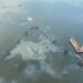 Photos: Source Of Oil Discharges Found From Section Six Of MV Golden Ray Wreck