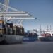 Port of Savannah TEU Volumes Up 17 Percent in February