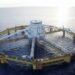 World’s First ‘Exposed’ Fish Farm To Use Precision Fiber Optic System To Monitor Structural Stress