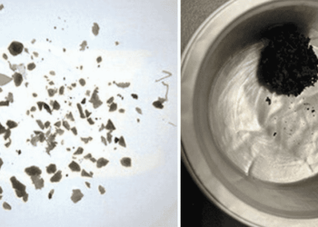 Microplastics Collected From Seawater Successfully Converted Into Energy By MOL & Team Eco Trinity