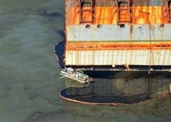 environmental fine for Golden Ray's operators