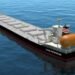 NYK To Build Company’s First LNG-Fueled Capesize Bulk Carrier