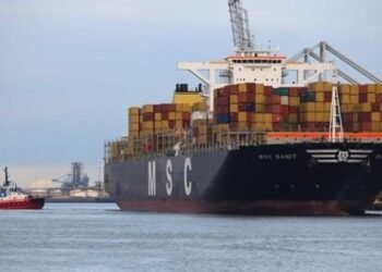 msc danit