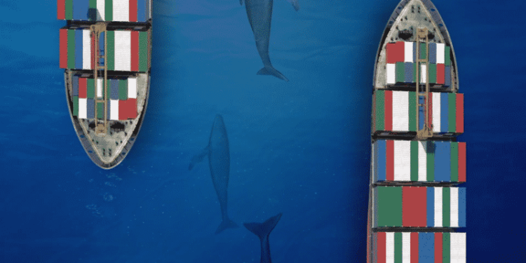 Panama Canal Resumes Seasonal Measures To Protect Migrating Marine Life