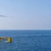 Floating Wind Farm Developer Seeks New Funding for Bigger Scale Floating Wind Farm Developer Seeks New Funding for Bigger Scale