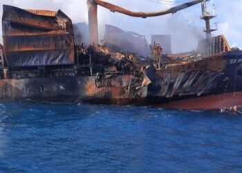 MV X-Press Pearl Incident: Sri Lanka Plans To Extend Shoreline Cleaning For At Least Six Months