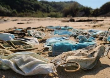 1.6 Billion Disposable Masks Polluted Oceans in 2020 