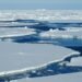 More Companies Sign Pledge to Avoid Arctic Shipping arctic sea ice