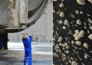 Keeping Ships’ Hulls Free From Thin Layer Of Slime Can Reduce GHG Emissions By Up To 25%