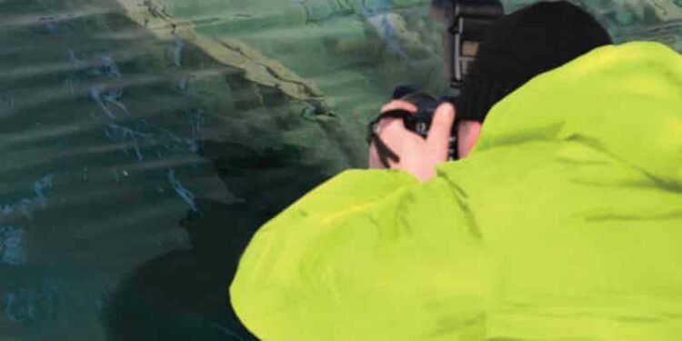 IMO: Capacity Building For Marine Casualty Investigations