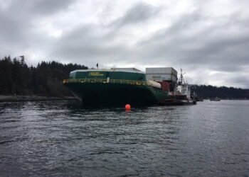 nana provider grounding