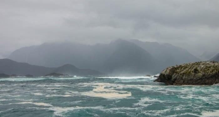 tasman sea coast