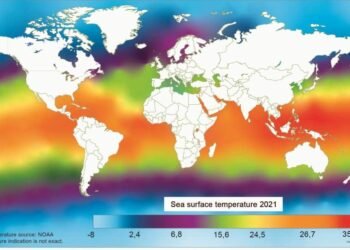 Waters Warming Up Due To Biofouling With 100% Increase In Idling Vessels Since 2009 
