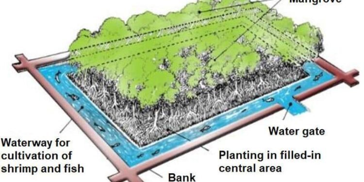 MOL To Join Mangrove Restoration/Conservation Project In Indonesia