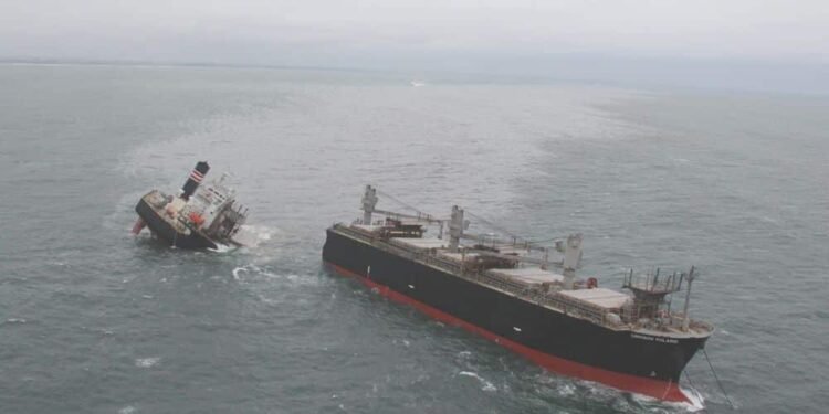 NYK Sends Support For Cleanup Of Oil And Cargo From Wood-Chip Carrier ‘Crimson Polaris’