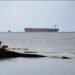 Russia: Investigators Conduct Extensive Search Following The Oil Spill In Black Sea Russia: Investigators Conduct Extensive Search Following The Oil Spill In Black Sea