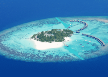 Shipowners Pay Compensation For Reef Destroyed By Cargo Vessel In The Maldives