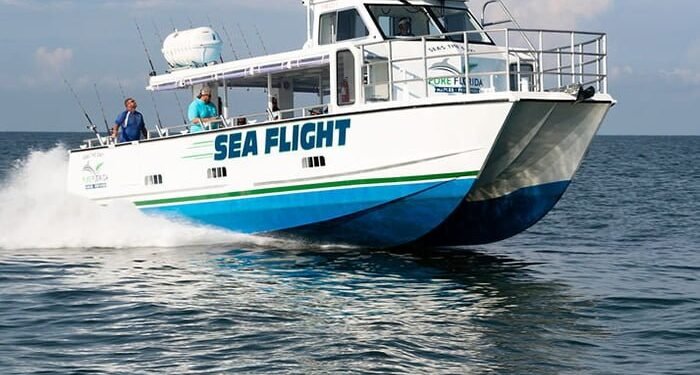 Metal Shark provides foil-assisted pet cat image description