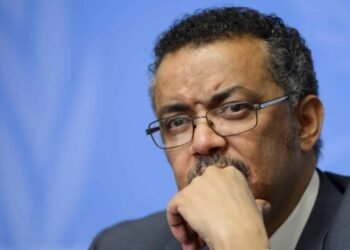 THAT And ILO Form Action Group With Global Transport Bodies To Protect Workers’ Rights And Ease Supply Chain Congestion