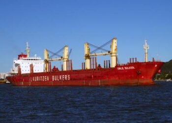 New Zealand Fines Captain, Chief Officer for Providing False Info After Crewman Passed Out in Hold