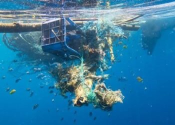 New Report Tracks Sources of Marine Litter