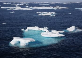 arctic sea ice
