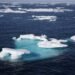 Arctic Cruises Accused of Leaving Indigenous People in the Cold arctic sea ice