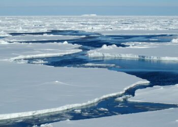arctic sea ice