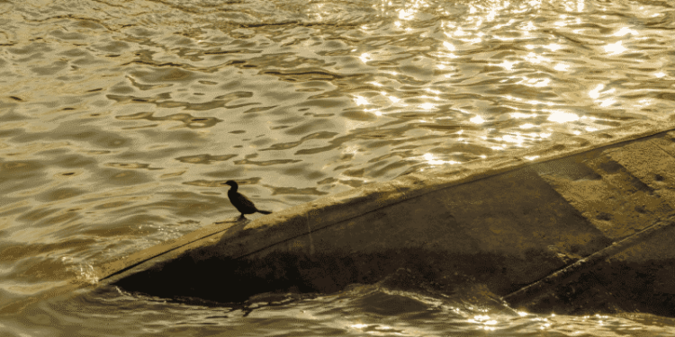 More Than 60 Missing & & 17 Dead After Ship Sinks Off Madagascar Coast