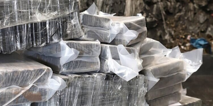 Record Drug Bust at Port of Hamburg