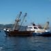 British Scallop Dredger Still Held in France British Scallop Dredger Still Held in France