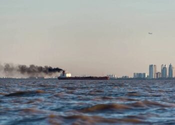 Denmark, US and 12 Other Nations Back Tougher Climate Goal for Shipping