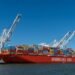 United States Regulator Expects to Find Abuses in Shipping Amid Supply Chain Woes US Regulator Expects to Find Abuses in Shipping Amid Supply Chain Woes