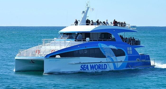 Aluminium Marine supplies innovative whale spectator image description