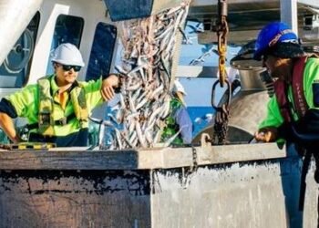 Australia Proposes Mandatory Lifejacket Wear for Domestic Commercial Vessels