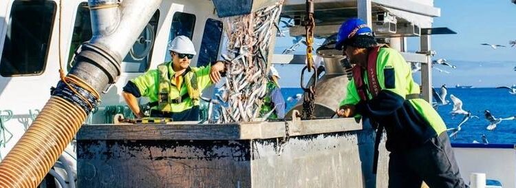 Australia Proposes Mandatory Lifejacket Wear for Domestic Commercial Vessels