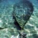 2,700 Year Old Shipwreck Of ‘Mazarrón 2’ Might Disappear Owing To Lack Of Protection