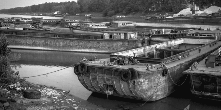 NGOs Join Local Residents And First Nations In Fight Against Toxic Shipbreaking In British Columbia