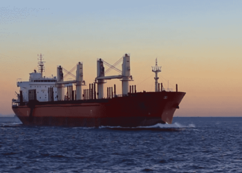 There’s A New Language For Shipping To Solve The Decarbonization Challenge: ABDOMINAL CHIEF EXECUTIVE OFFICER